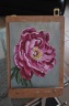 pivoine3