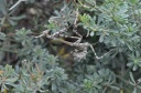 DD-Empuse commune-20110910-0003